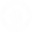 Insight AI
